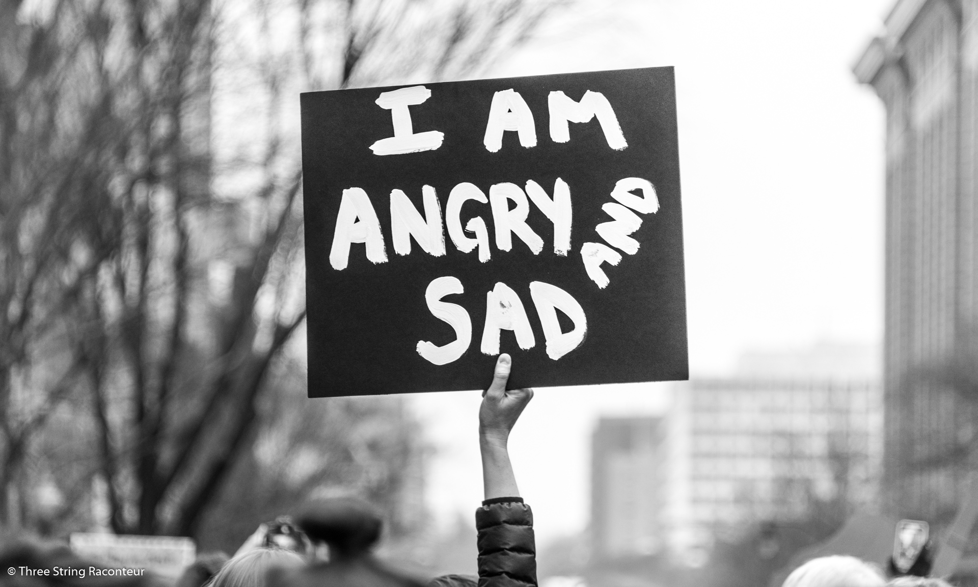 Three String Raconteur