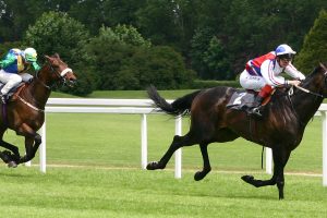 Politics isn't a horse race