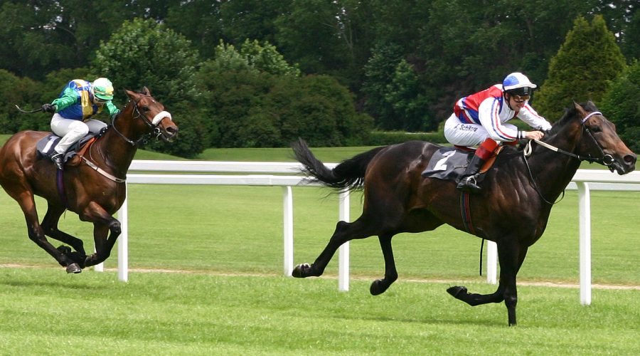 Politics isn't a horse race