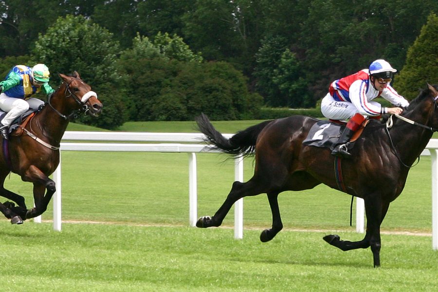 Politics isn't a horse race