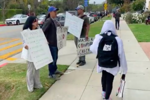 Plastics, Brain Rot, and Republicans