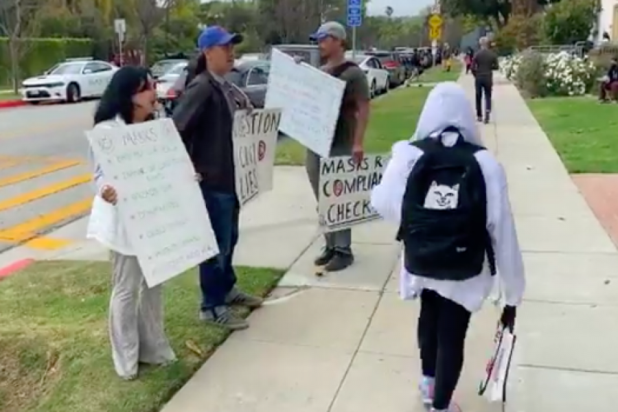 Plastics, Brain Rot, and Republicans